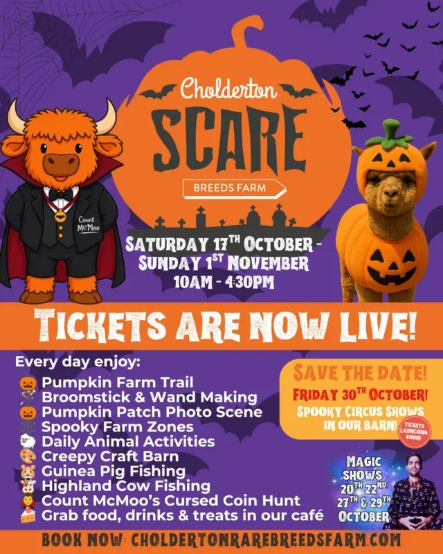 🎃 CHOLDERTON SCARE BREEDS FARM IS BACK! 👻
Halloween Half Term tickets are NOW LIVE! 🦇
From Saturday 17th October – Sunday 1st November, the farm is getting a spooky makeover with plenty of frightfully good family fun!

🎃 Follow our Pumpkin Farm Trail
🧹 Make your own broomstick or wand
📸 Snap a photo in our Pumpkin Patch
👻 Explore spooky zones around the farm
🎨 Visit the Creepy Craft Barn
🪙 Brave Count McMoo’s Cursed Coin Hunt
🐮 Enjoy our daily animal activities, Highland Cow & Guinea Pig Fishing
🍰 Plus plenty of autumn treats, drinks and delicious food in the café!

✨ PLUS! Halloween Magic Shows with Sean on 20th, 22nd, 27th & 29th October.

🎪 And save the date for our Spooky Halloween Circus in our barn on Friday 30th October. Circus tickets launching soon!

Some activities are small additional charges.

🧛 Count McMoo is waiting... are you brave enough for Cholderton Scare Breeds Farm? Book your visit through our website!

#choldertonrarebreedsfarm #scarebreedsfarm #halloweenhalfterm #halloweenwiltshire #wiltshirefamilies