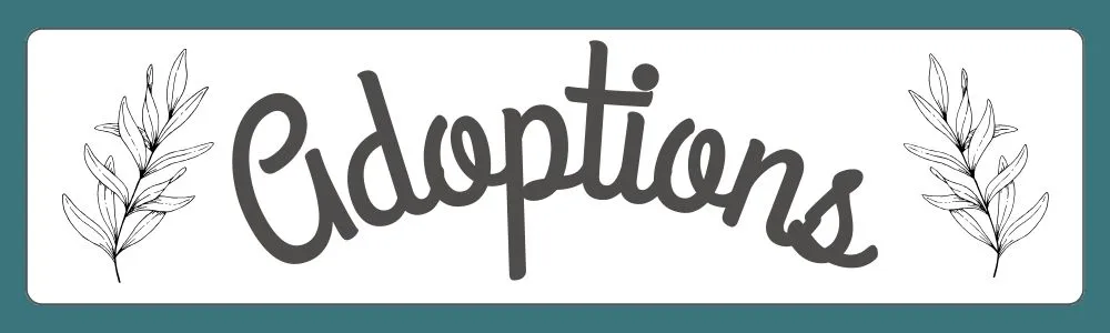 Adoptions