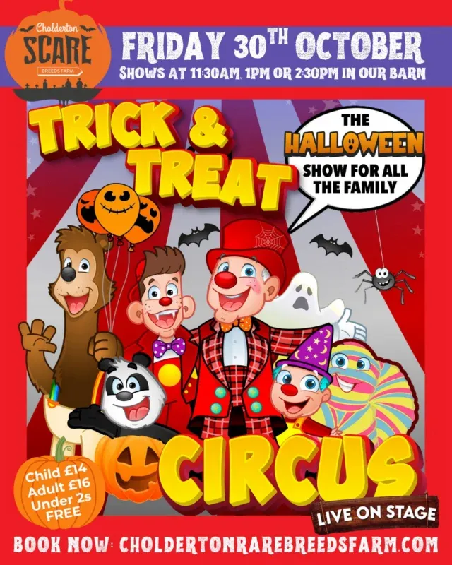 🎪 YOU LOVED IT SO MUCH THIS SUMMER... WE’RE BRINGING IT BACK! 🎃 🤡 The @nationalfestivalcircus is returning to Cholderton Rare Breeds Farm, but this time things are getting SPOOKY! 👻

For ONE DAY ONLY, they’ll be taking over our Events Barn with their Trick & Treat Circus, the Halloween show for all the family PLUS you get a whole day of spooky farm fun!

📅 Friday 30th October
🎪 Shows at 11:30am, 1pm or 2:30pm
🎟️ Children £14 | Adults £16 | Under 2s FREE
🐐 All day farm entry 10am - 4:30pm

And this time, your circus ticket includes a FULL DAY at Scare Breeds Farm too!

Come for the circus and stay for a whole day of Halloween farm fun, with our Pumpkin Farm Trail, spooky farm areas, animals, indoor and outdoor play, pumpkin photo opportunities and lots more. 🎃🐮

Fancy dress is VERY much encouraged, so get those costumes ready!

Each show has limited capacity and tickets are NOW LIVE. Choose your show time and get booked before they disappear... 👻

🎟️ BOOK NOW!

#halloweencircus #halloweenhalfterm #familyhalloweenevent