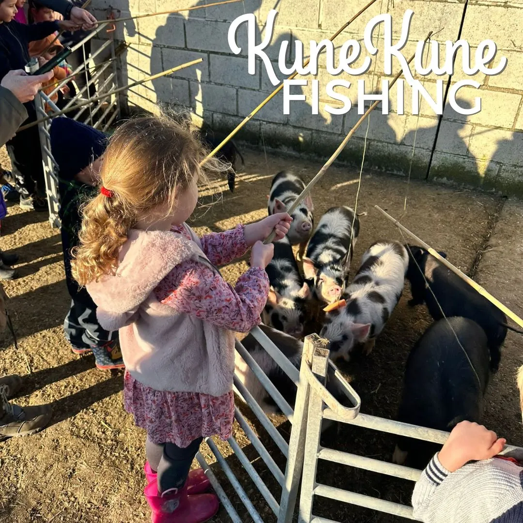 KuneKune Fishing